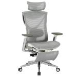 S1 Mesh Pro Max Senior ErgoChair Platinum Alpine Grey