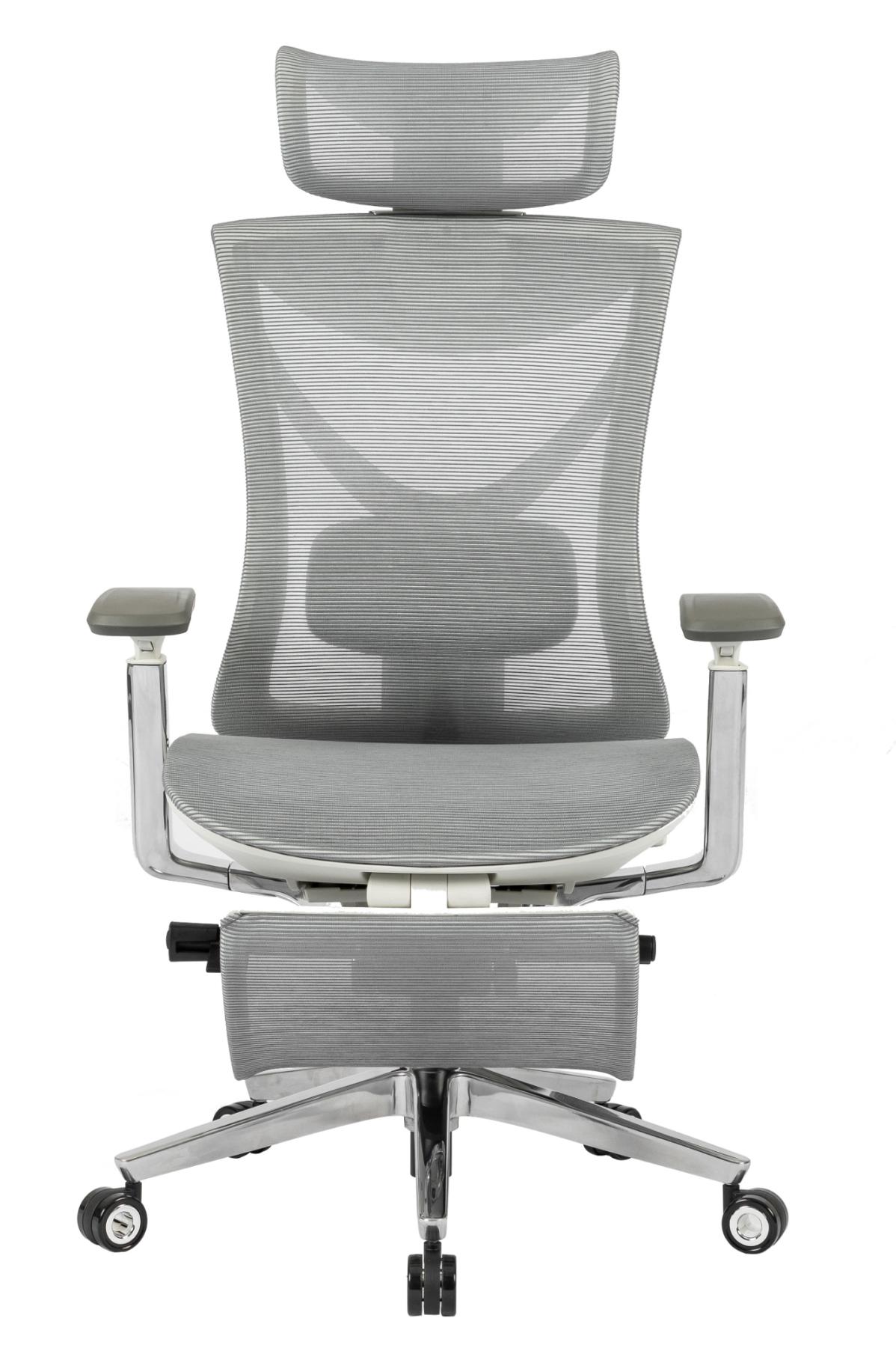 S1 Mesh Pro Max Senior ErgoChair Platinum Alpine Grey, photo 2