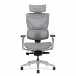S3 Pro Senior ErgoChair Platinum Smoky Grey