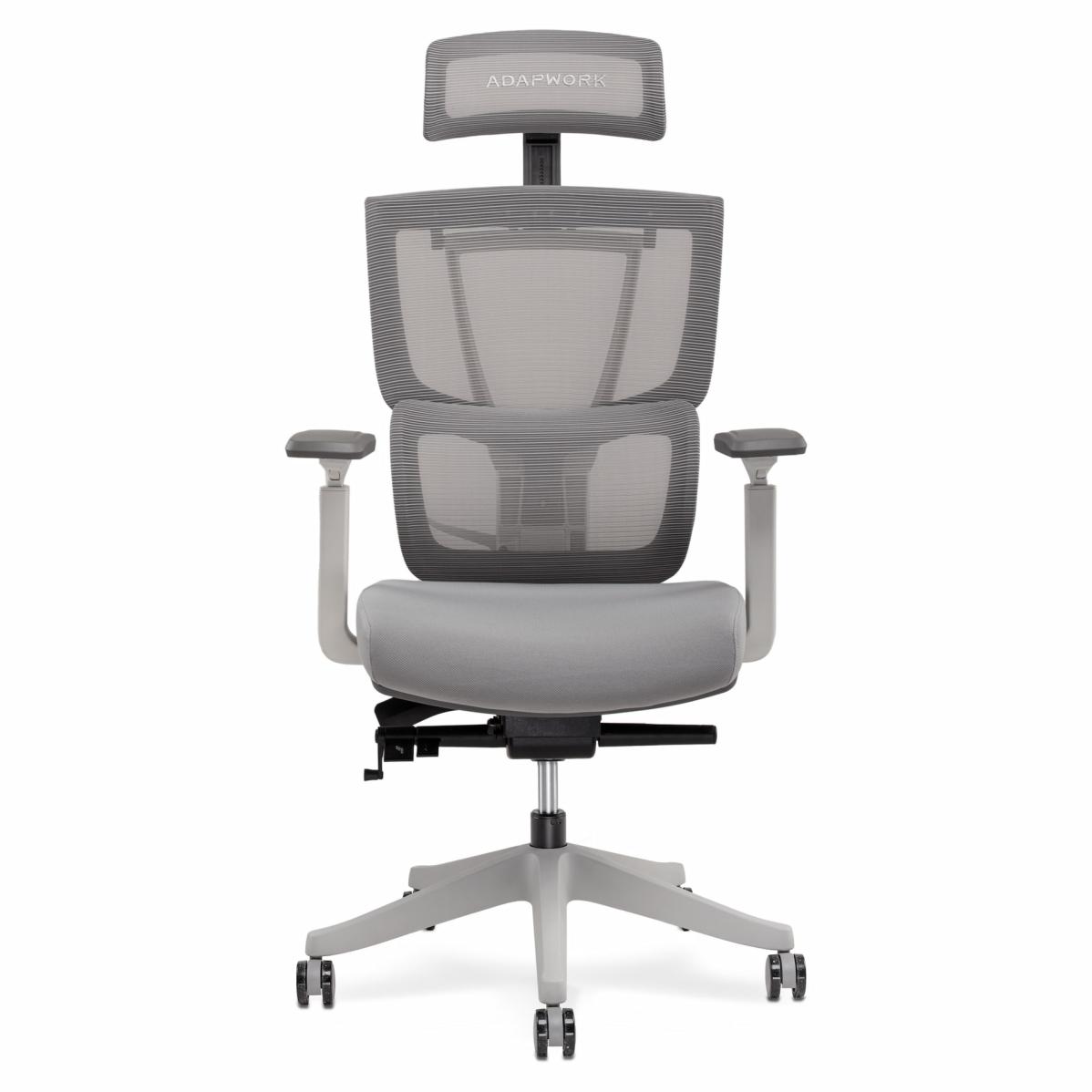 S2 Senior ErgoChair Alpine Grey, photo 1