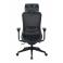 M4 Mesh Middle Ergochair Deep Black, photo 4 mini