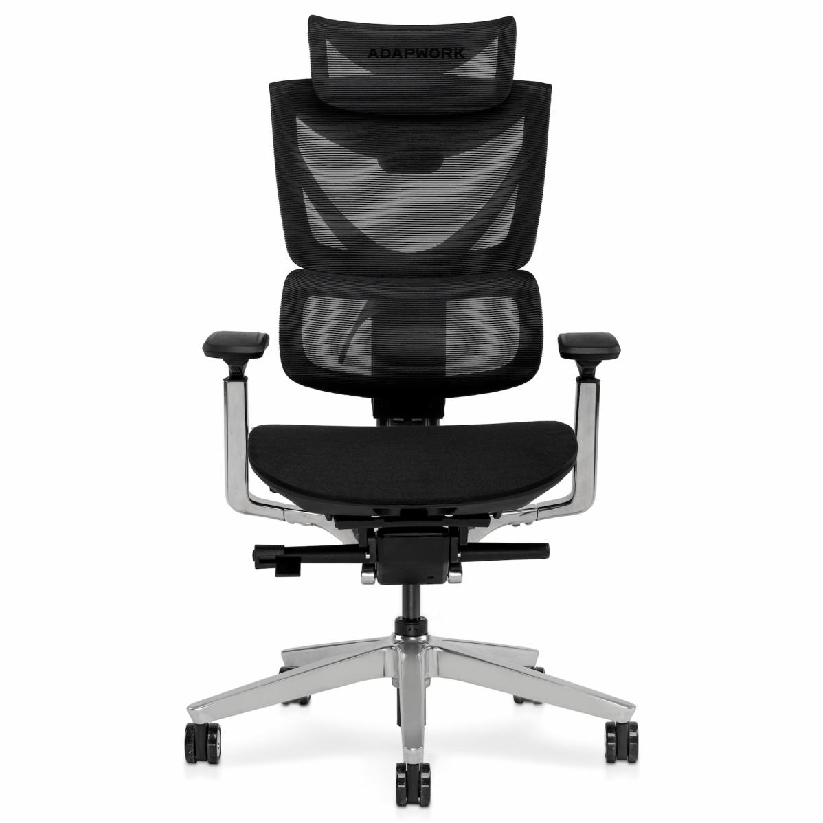 S3 Pro Senior ErgoChair Platinum Grafite Black, photo 1