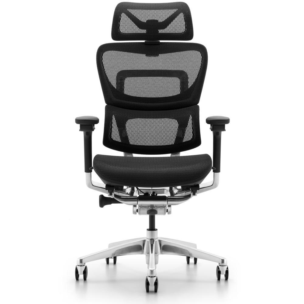 L1 Mesh Lead Ergochair Deep Black, photo 5