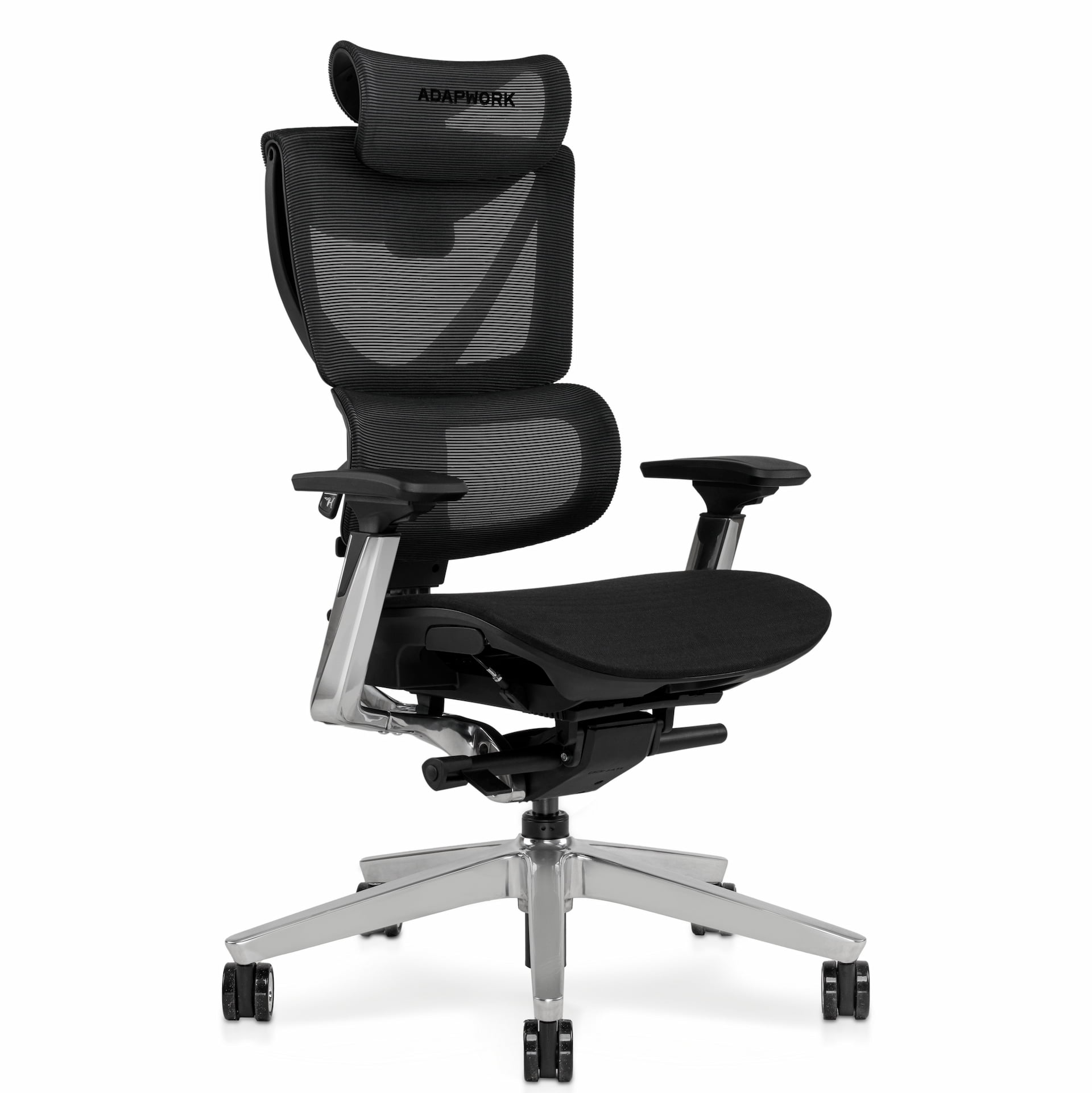 S3 Pro Senior ErgoChair Platinum Grafite Black, photo 2
