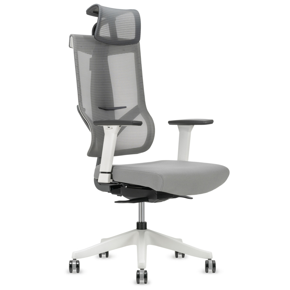 M1 Middle ErgoChair Alpine Grey, photo 1