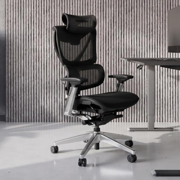 Ergonomic S3 Pro Senior ErgoChair Platinum Grafite Black