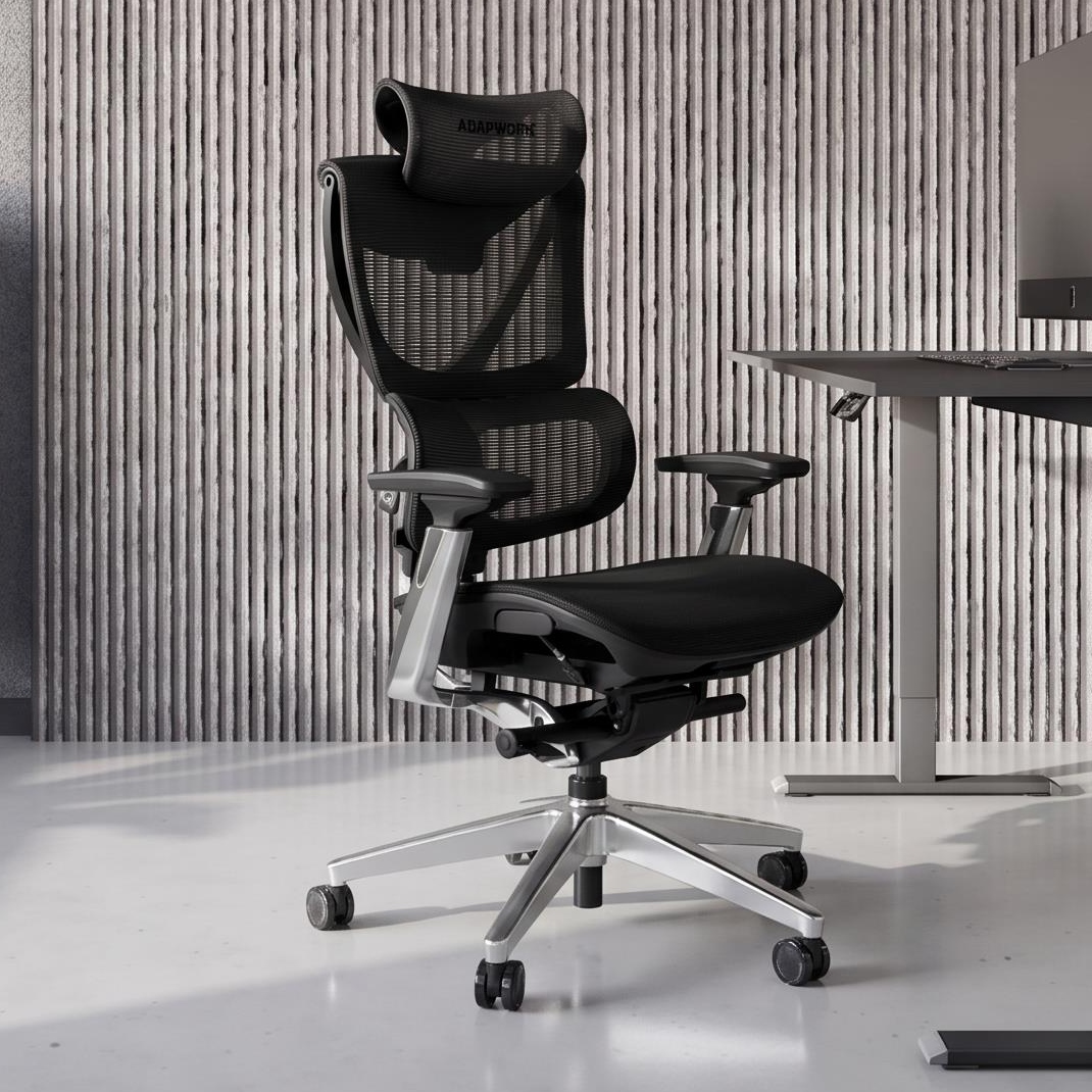 S3 Pro Senior ErgoChair Platinum Grafite Black