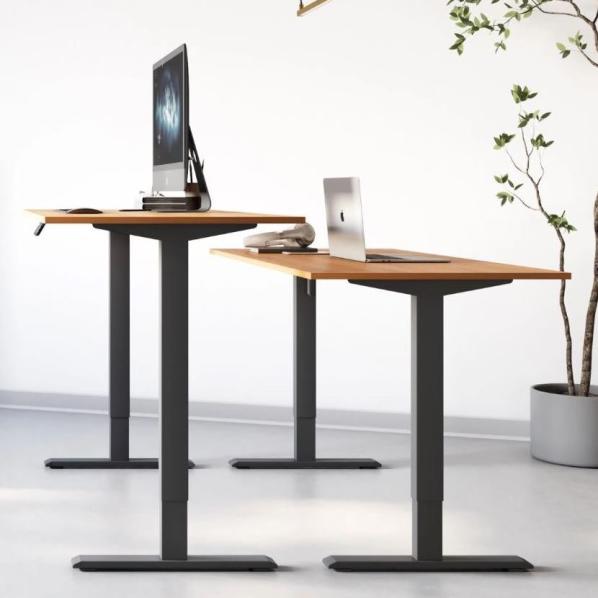 Ergonomic Adjustable table AdapDesk Smart 1 Motor 18mm Golden Wood, Space Black