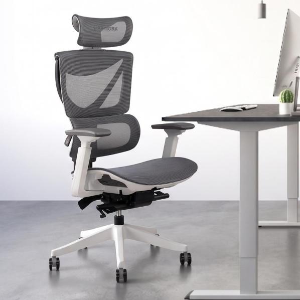Ergonomic S3 Mesh Senior ErgoChair Alpine Grey