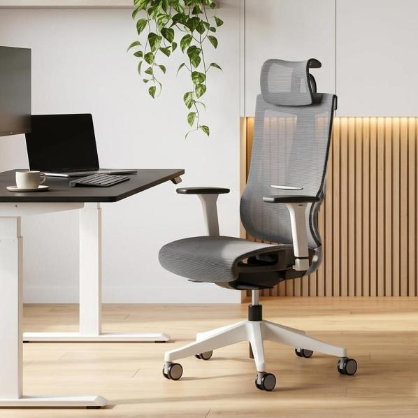 Ergonomic M1 Mesh Middle ErgoChair Alpine Grey
